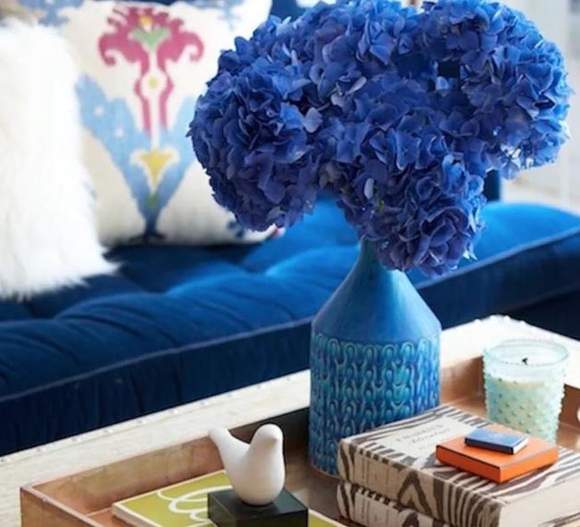 phong thủy màu sắc