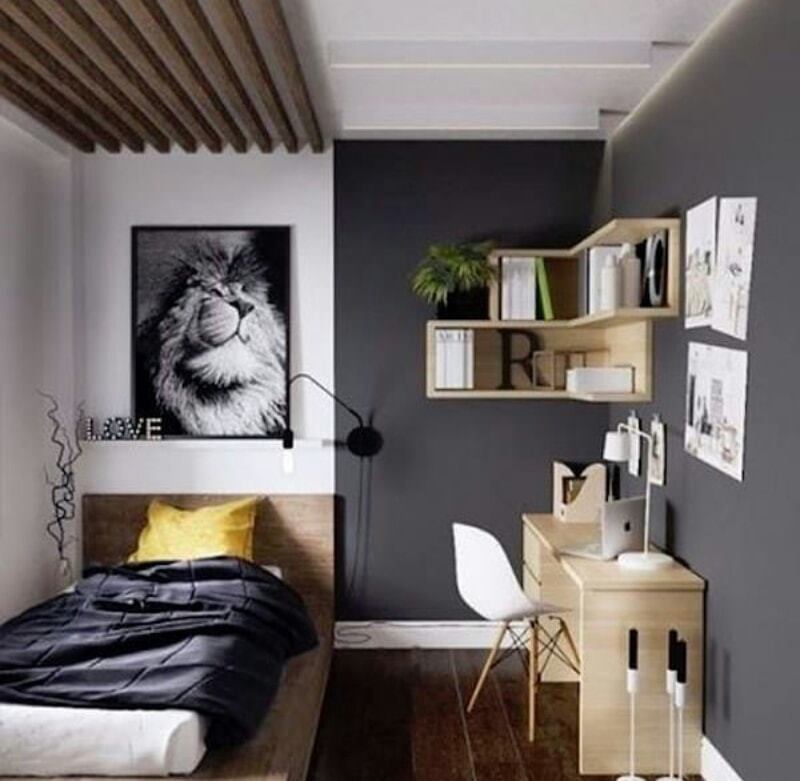 72033592 2476015979186824 6308332335255257088 n